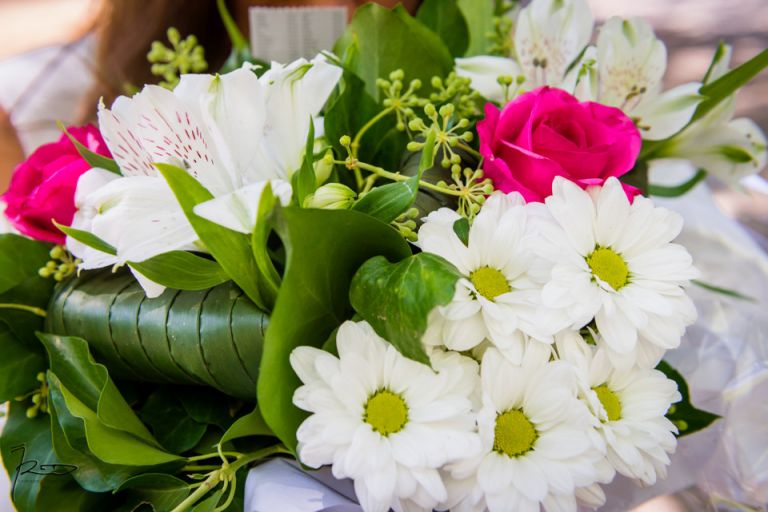 photographe mariage Provence