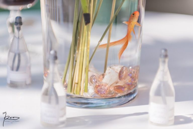 Vin d'honneur à Maisons-Alfort